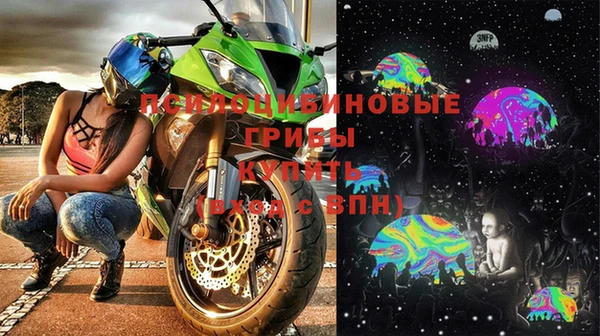 стафф Алзамай