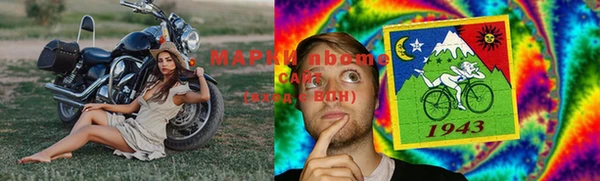 стафф Алзамай